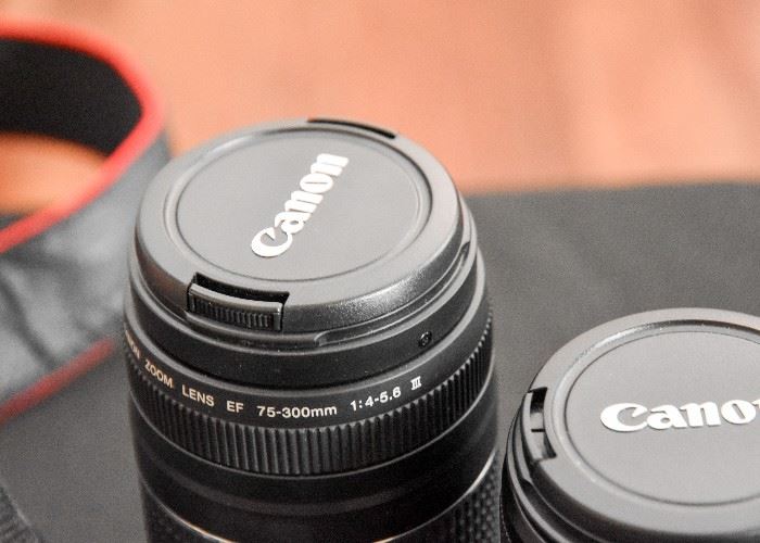 Canon 75-300mm Zoom Digital Camera Lens 