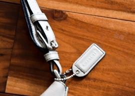 Coach Purse / Shoulder Bag