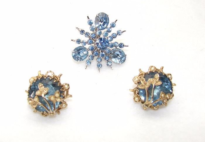 Gorgeous earrings and an ice blue brooch
