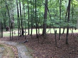 VIEW FROM THE DRIVEWAY TO BACK YARD