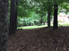VIEW FROM SIDE YARD TOWARDS BACK OF THE HOUSE