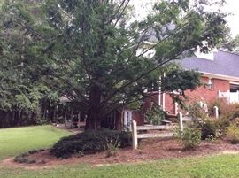 VIEW OF THE GARAGE SIDE OF THE HOUSE