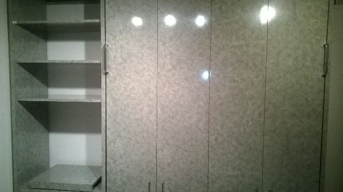 Professional installed Murphy Bed wall system in great condition 