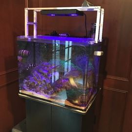 60 Gallon Tank on Black stand- with water cooler Artica