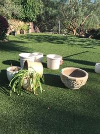 some of the collection of pots - includes some Gainey