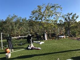 Just a bit of Halloween