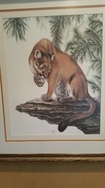 LTD Edition Cougar Print by Imogene Hudson Farnsworth  $50.00
