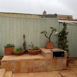 Outdoor Potted Plants