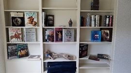 Lots of Books & Llardo 