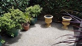 Plants, Pots and More Plants