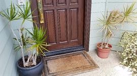 Plants, Pots and More Plants