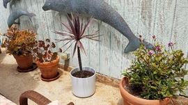 Plants, Pots and More Plants