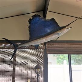 Taxidermy swordfish 