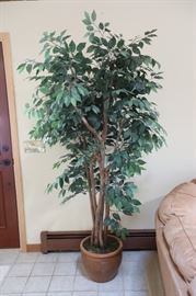 Artificial Plant, 6' Tall
