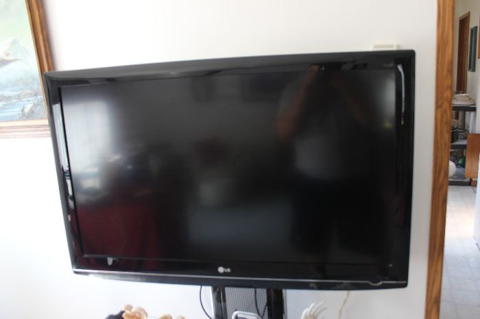 Flat Panel Television