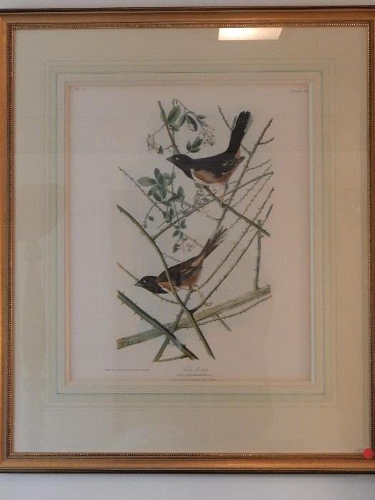 Artist: Post John James Audubon -J. Bien Edition, Towhee Bunting, Chromolithograph 