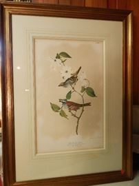 Artist: John James Audubon-J.Bien Edition, N.Y., "White Throated Sparrow", Chromolith