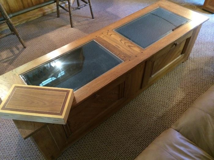 Display and Storage Coffee Table