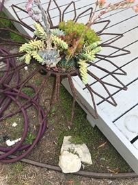 Yard art-iron daisy planter with succulents