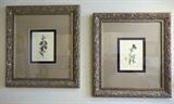Pair of Framed Florals