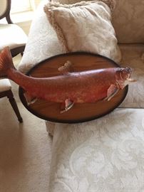 mounted fish
