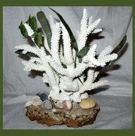 Coral Sculpture 