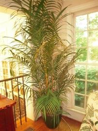 Sun Room:  This faux plant sits in a 13" tall glazed planter. 