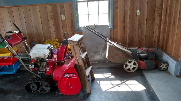 snow blower and push lawn mower with bagger.