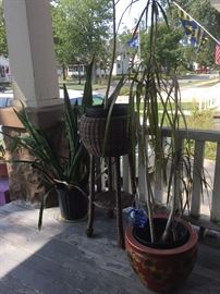 A few plants and stands