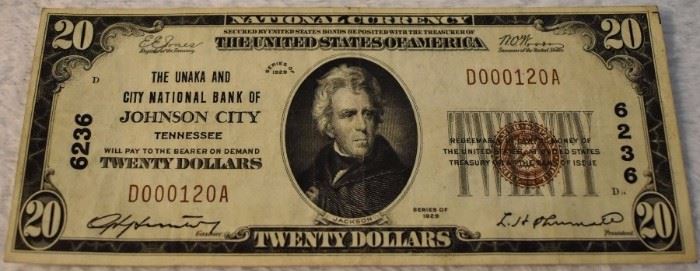 $20 Johnson City National Note
