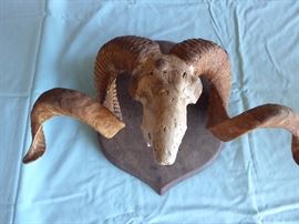 sold from photo seen oline