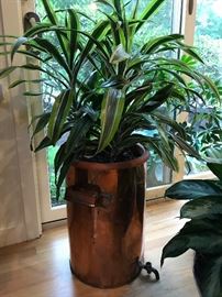 Antique Copper water cooler with spigot and tropical foliage