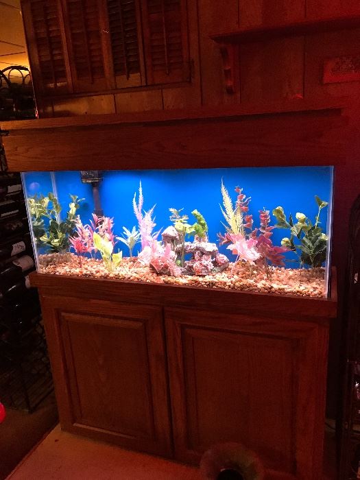 65 gallon fresh water fish tank