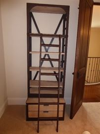 Shelf Unit with Ladder