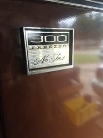 Freezer No Frost great for garage or man cave