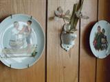 collector plates