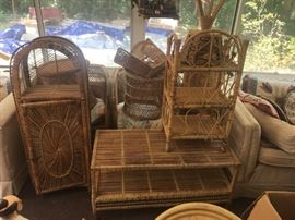 Better PIcture of the wicker