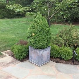 Pair of lead planters with boxwood.