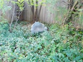 cement bench close to the ground