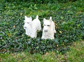 Pair of cement scotties really cute.