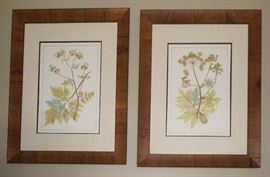 Four, framed botanical
prints, professionally matted and
framed, $400/set.