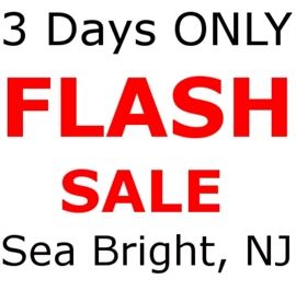 Sea Bright Flash Sale