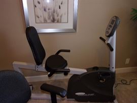 Trimline stationary exercise bike