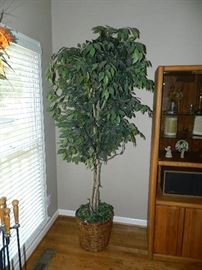 View Of Tree Decorations