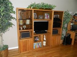 View Of Entertainment Center