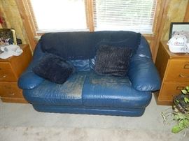 Slightly Use Love Seat