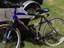 #124 Roadmaster mountain bike, $50
