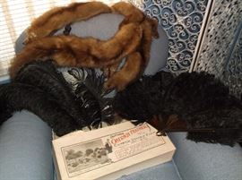 Ostrich feathers in original box and ostrich feather fan