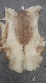 old animal hide