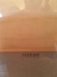 Printed Pigeon with Real Feather Details.